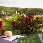 Hotel-spa Le Saint Cirq 3*