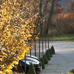 Hotel Hotel-spa Le Saint Cirq 3*