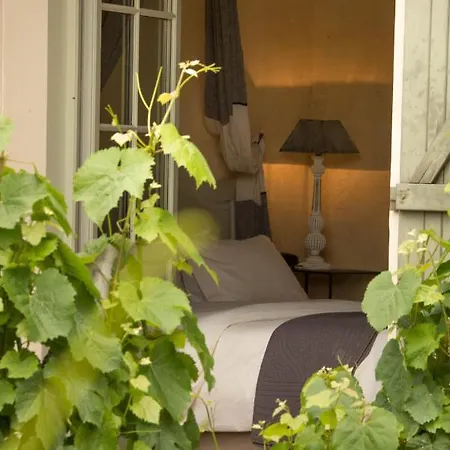Hotel-spa Le Saint Cirq Hotel 3*