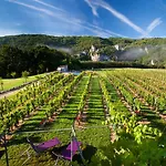 Hotel Hotel-spa Le Saint Cirq 3*
