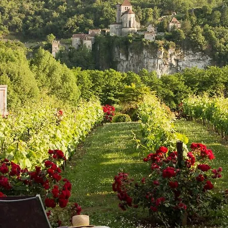 Hotel-spa Le Saint Cirq 3*