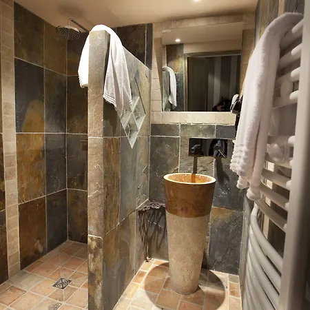 Hotel-spa Le Saint Cirq 3* تورْ دو فورْ