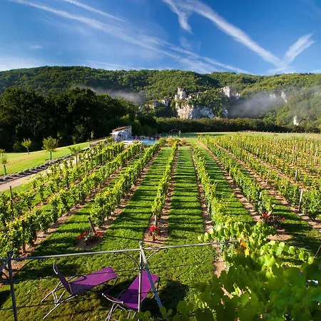 Hotel Hotel-spa Le Saint Cirq 3*