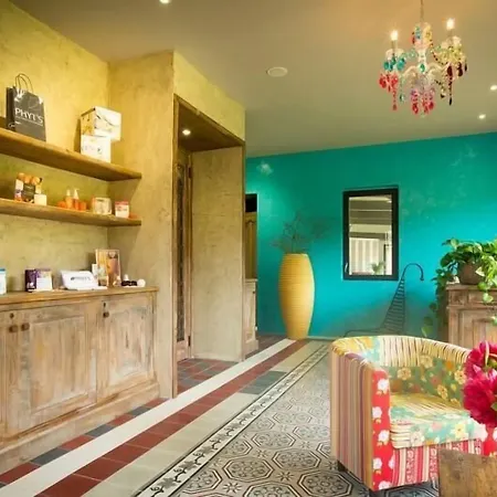 Hotel-spa Le Saint Cirq Otel 3*