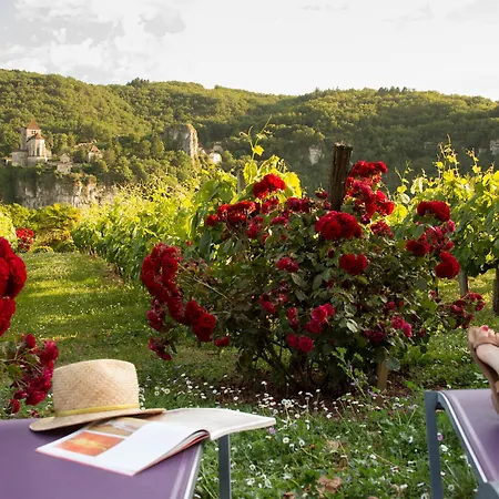 Hotel-spa Le Saint Cirq 3*