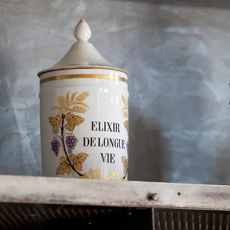 Hotel-spa Le Saint Cirq Hotell 3*