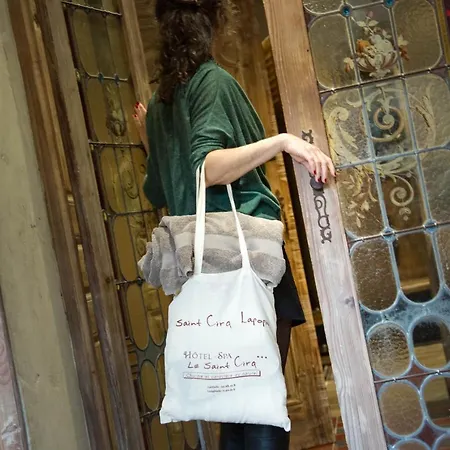 Hotel-spa Le Saint Cirq Hotell 3*