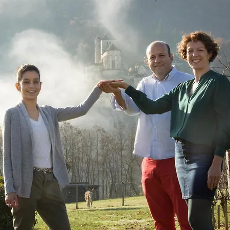 Hotel Hotel-spa Le Saint Cirq 3*