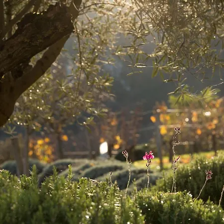 Hotel Hotel-spa Le Saint Cirq 3*