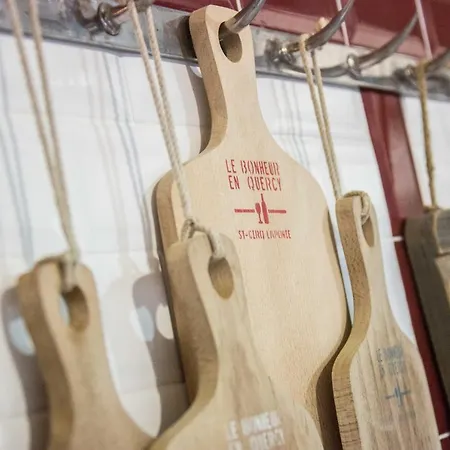 Hotel Hotel-spa Le Saint Cirq 3*