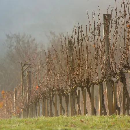 Hotell Hotel-spa Le Saint Cirq